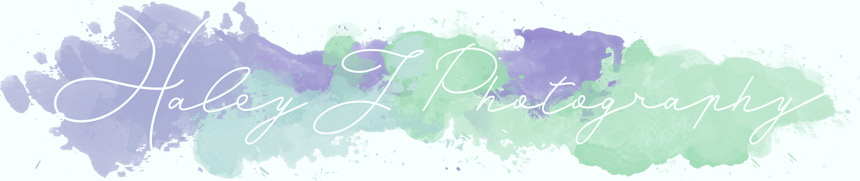 Just another WordPress site